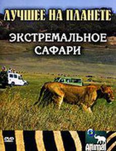 Animal Planet: Экстремальное сафари