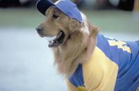 Кадр Король воздуха: Седьмая подача (видео)