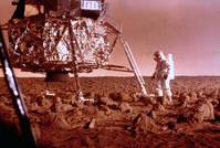 Кадр Козерог один