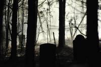 Кадр Дневники вампира