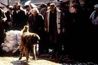 Кадр Зов предков