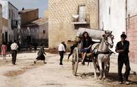 Кадр Баария