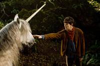 Кадр Мерлин