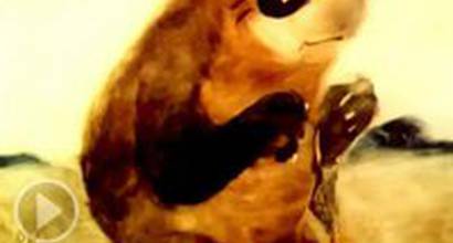 Мультфильм