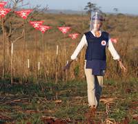 Кадр Диана: История любви