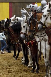 Кадр Мерлин