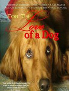 Из любви к другу