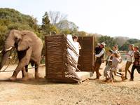 Кадр Мои африканские приключения