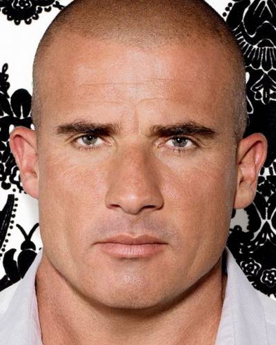 Доминик Пёрселл фото