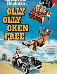 Вышел зайчик полетать