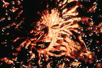 Кадр Амитивилль 1992: Вопрос времени (видео)