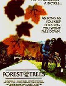 Forest for the Trees