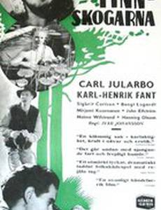 Livet i Finnskogarna