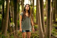 Кадр Пальмы в снегу