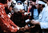 Кадр Говард-утка