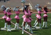 Кадр Мечты сбываются