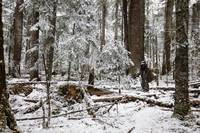 Кадр Любовь на высоте