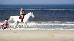 Кадр из фильма "Где лошадь Санта Клауса?" - 1