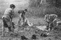 Кадр Как я теперь люблю