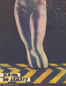 Жизнь по лимиту