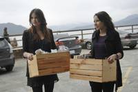 Кадр Тайный круг