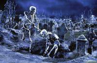 Кадр Зловещие мертвецы 3: Армия тьмы