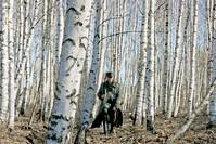 Кадр Слезы апреля