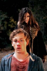 Кадр Грибы 3D