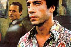 Пока не наступит ночь