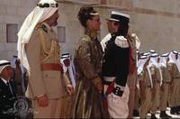 Кадр Сын Розовой пантеры