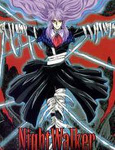 Ночной странник