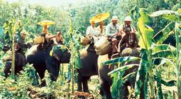 Кадр из фильма "В поисках приключений" - 2