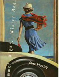 Летняя ночь, зимняя Луна