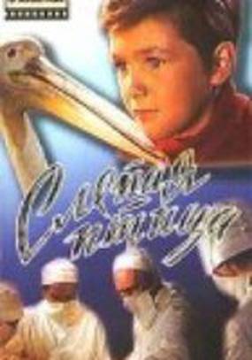 Слепая птица