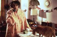 Кадр Пойманный в раю