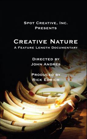 Creative Nature