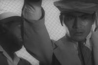 Кадр Бездомный пес