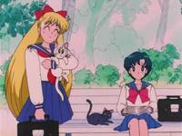 Кадр Красавица-воин Сейлор Мун Эс