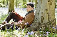 Кадр Мерлин