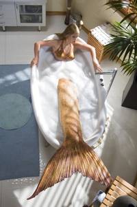 Кадр H2O: Просто добавь воды