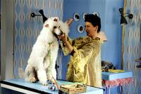 Кадр Самс в опасности