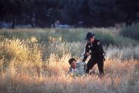 Кадр Потрошитель