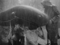 Кадр Неотправленное письмо