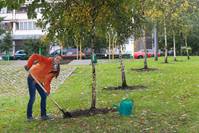 Кадр Как поднять миллион. Исповедь Z@drota