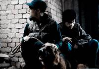 Кадр Стрижка