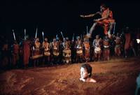 Кадр Шина – королева джунглей