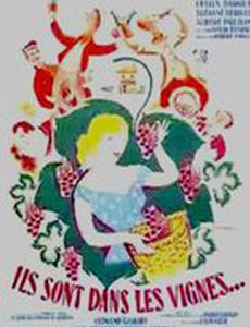 Ils sont dans les vignes...