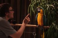 Кадр Ирония любви