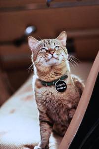 Кадр Лунатики