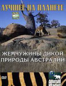 Animal Planet: Жемчужины дикой природы Австралии